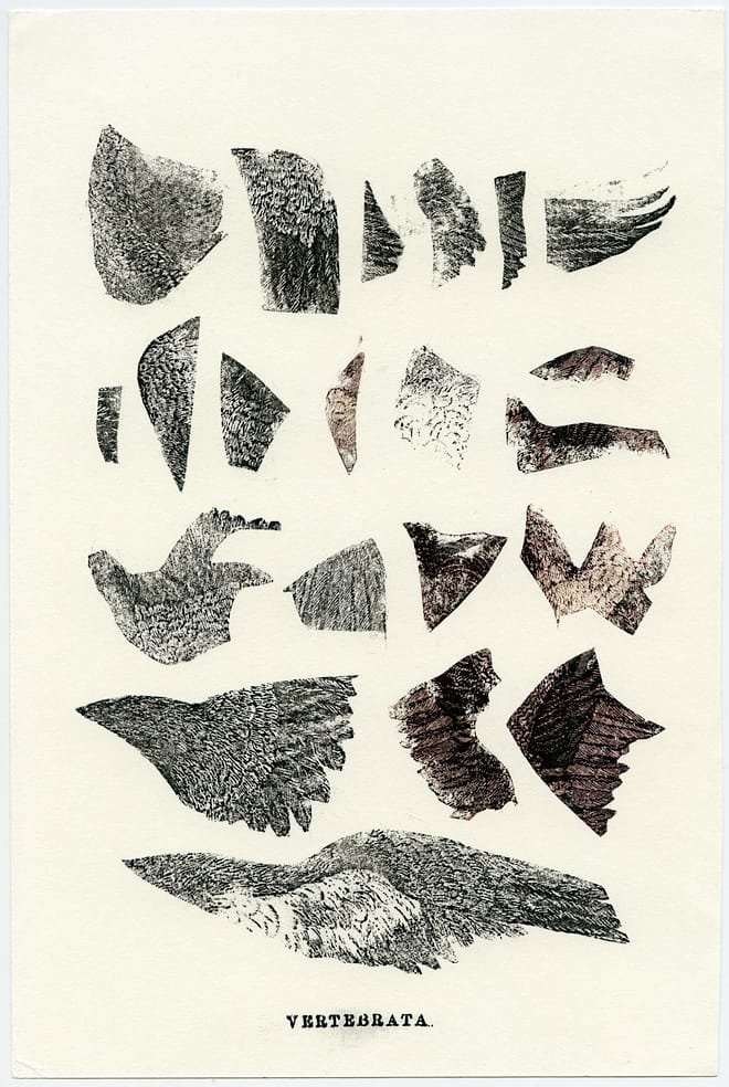 Raptores I