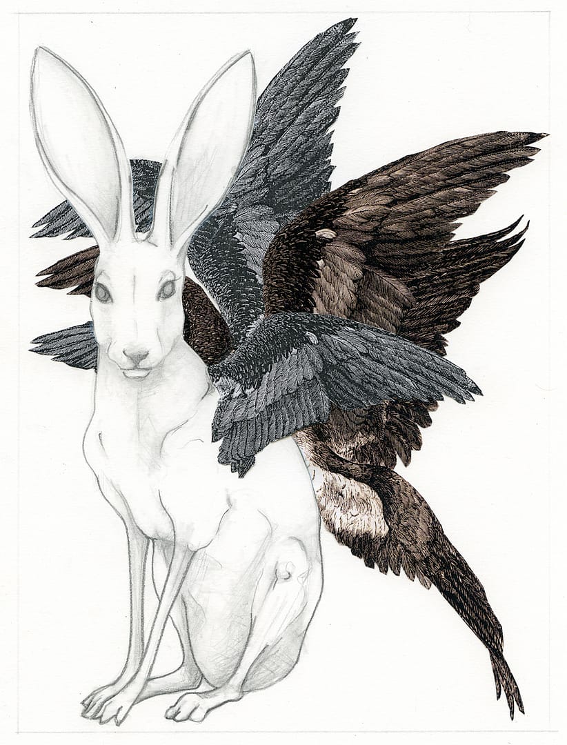 Vertebrata I